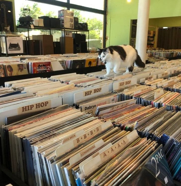 2d3c0b555ca84bf68ca207da4d