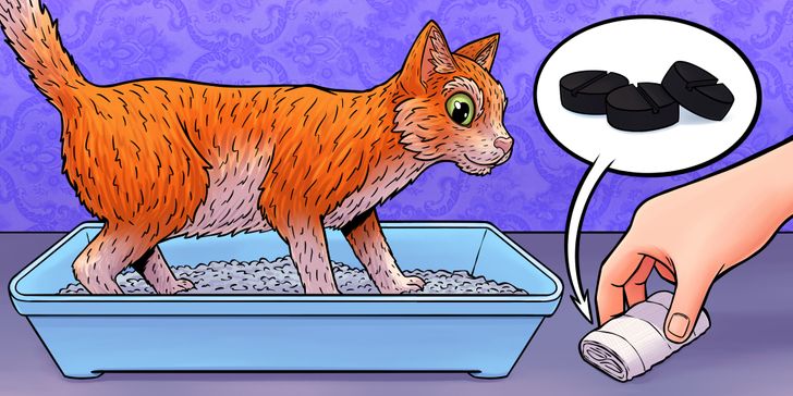 2d405d5ccda8e1c503f89dec6b 2d405d5ccda8e1c503f89dec6b