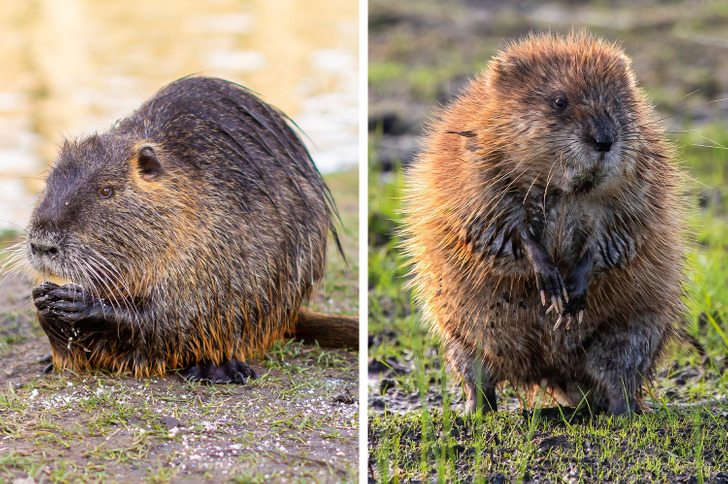 2d434353d28978038c5878bbed