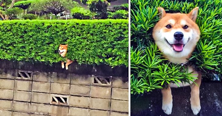 2d44175187bc8defb4a4fdf4ed