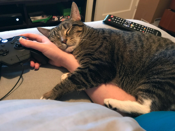 2d4a2d505883a3dcebc4236714