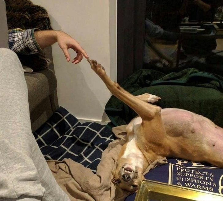 2d4b6a587797e333bff9acfefe