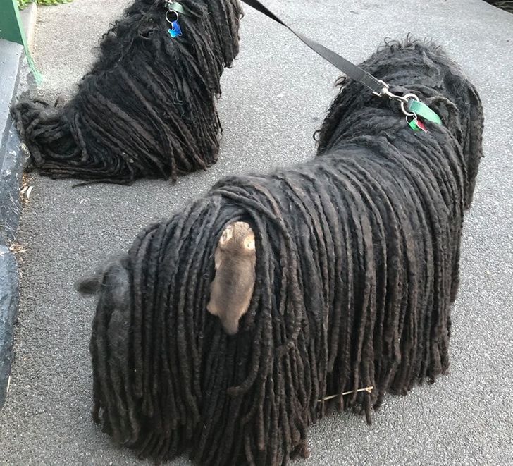 2d4ef655b888116ce285878d63