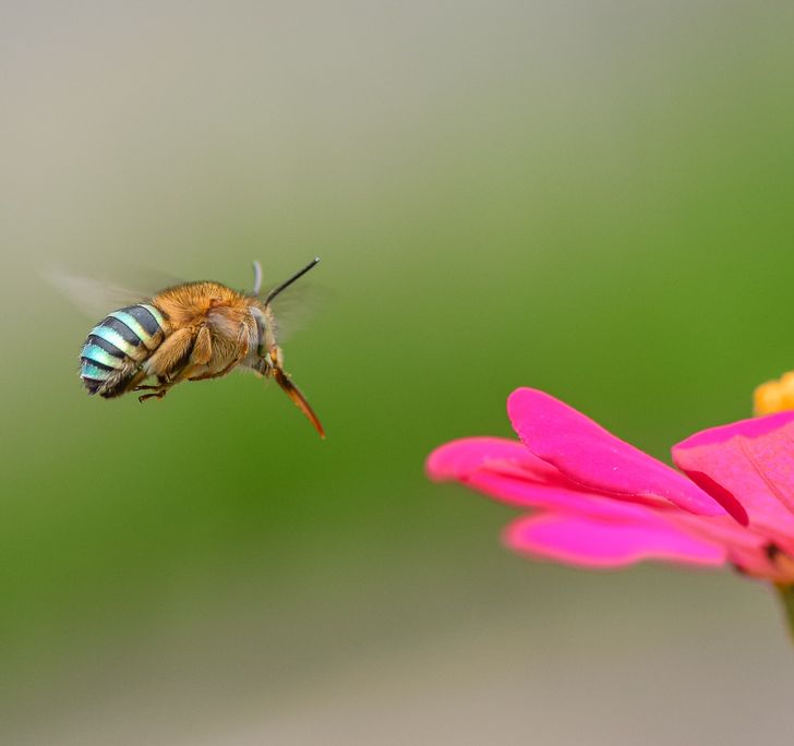 2d52545462bb7b03d01758221f