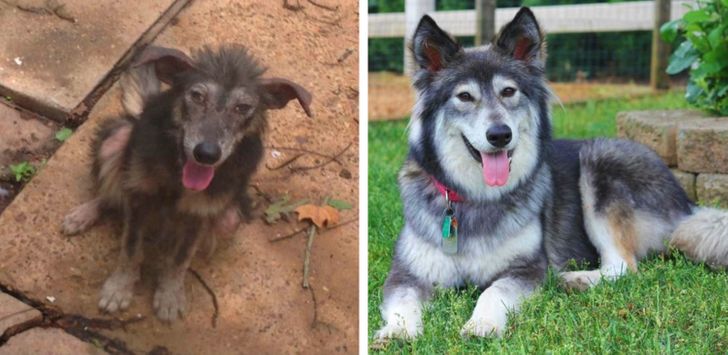 2d52995817900267fd2ec0cb10