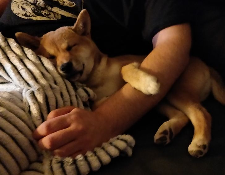 2d566c5db587150784d7e49b9e