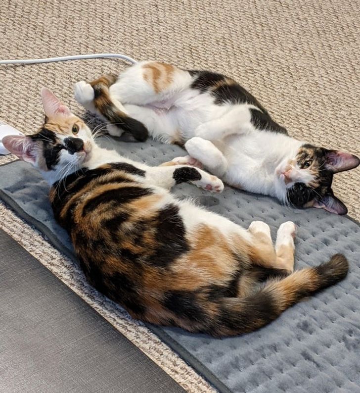 2d6414563c88d2b2c84026828a