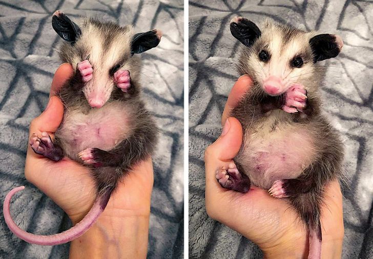 2d65175ea6aef64a2e5b849761