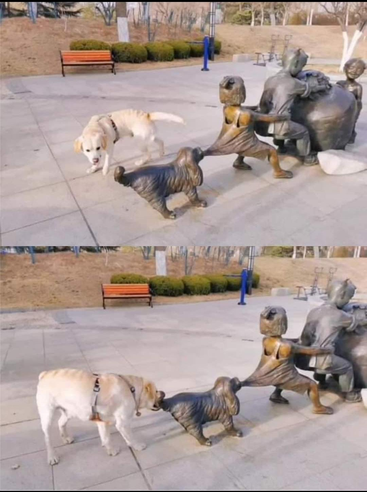 2d69f35c6fac3001cd3c3e9bd8