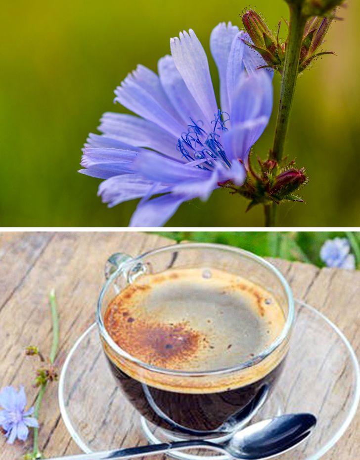 2d6f19554fbe3b5ee679a2259c