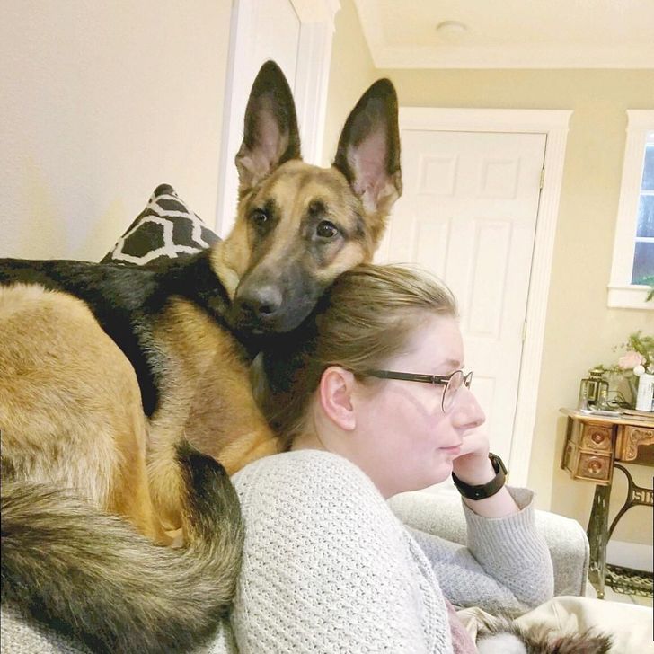 2d72bf5dd3b33cd81a0ae677f5 2d72bf5dd3b33cd81a0ae677f5