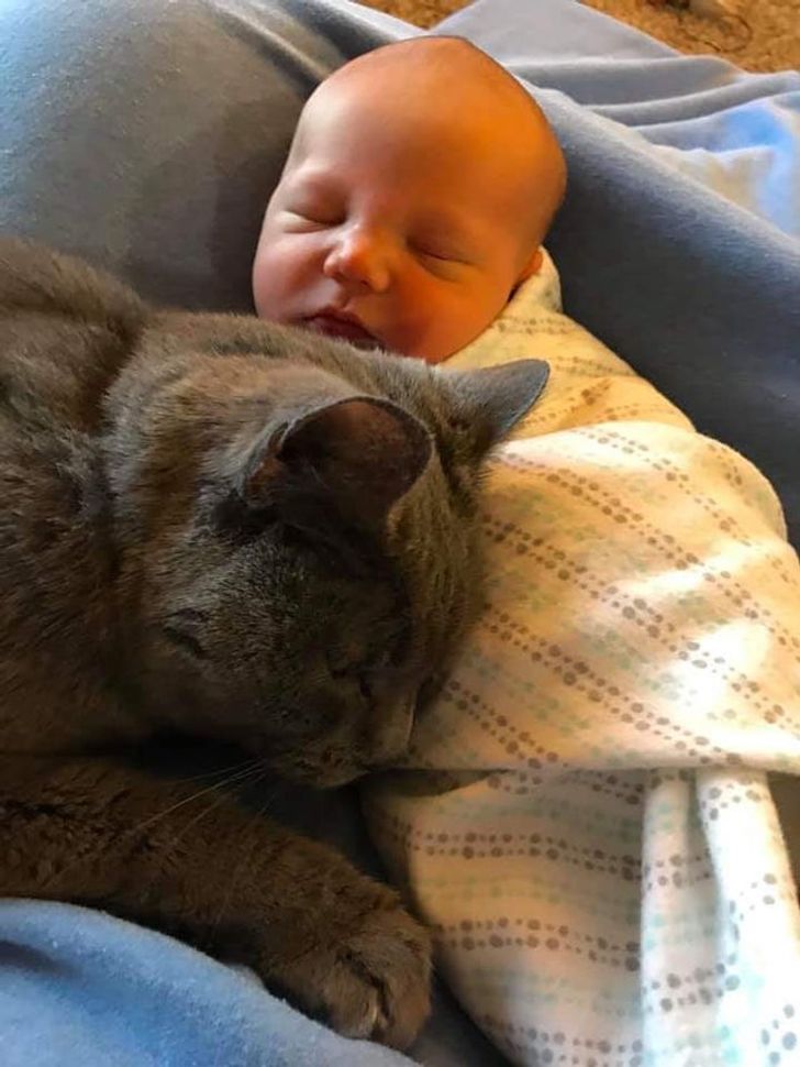 2d8f865dee8b221dbc8809175f