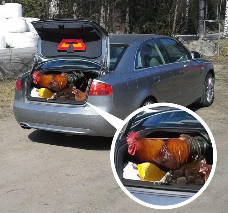 2d8fba55fbb5e52105a4cf6940 2d8fba55fbb5e52105a4cf6940