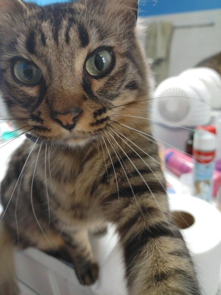 2d92045b608391c5f350b9acc1