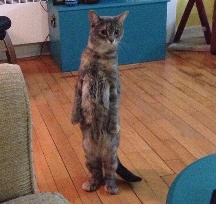 2d92d8591194a967ef425be936