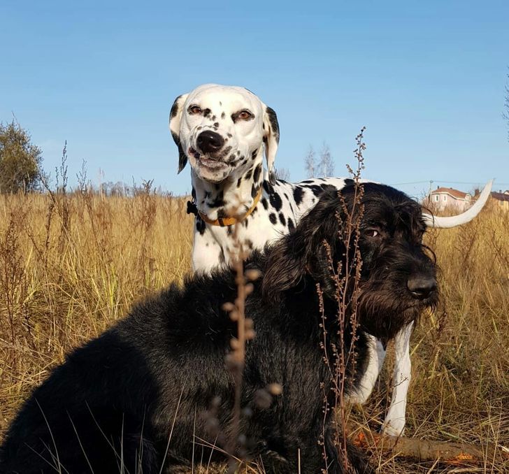 2d95be53df91ff479bcc100d9d