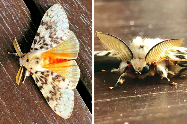 2d95f35504a5b3d04f8aad251c 2d95f35504a5b3d04f8aad251c