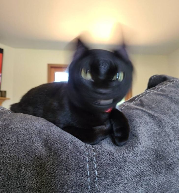 2d9bad52a19d6613c5dc81174e