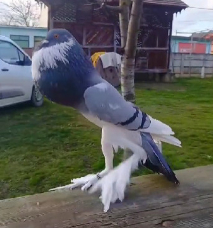 2d9f5d58309953097f95b381fe