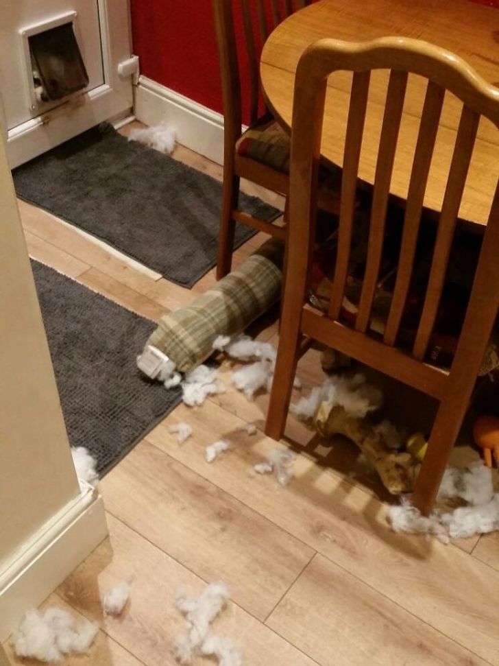 2db0e35ca685b2c23304fcfa88