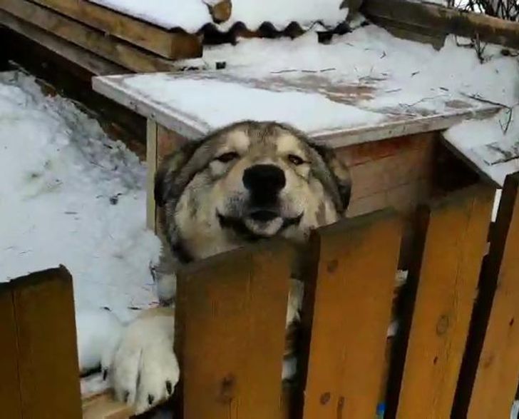 2db4975de1bc9e592940866784