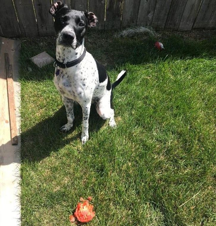 2db6035139a47d91eb24da3b4d