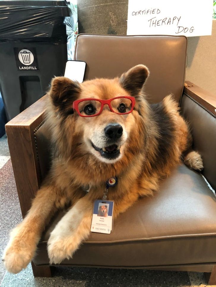 2db63352cb8363e6546c558d8c