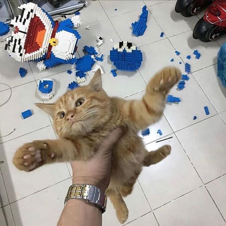 2dba6e5a459a8698c2543b7cdd