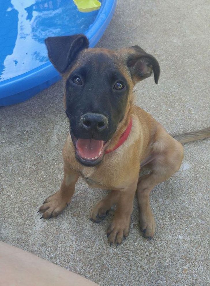 2dbb90505ab489de21629de90f