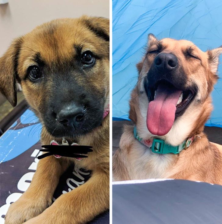 2dc5755cbda168b5275f552cde