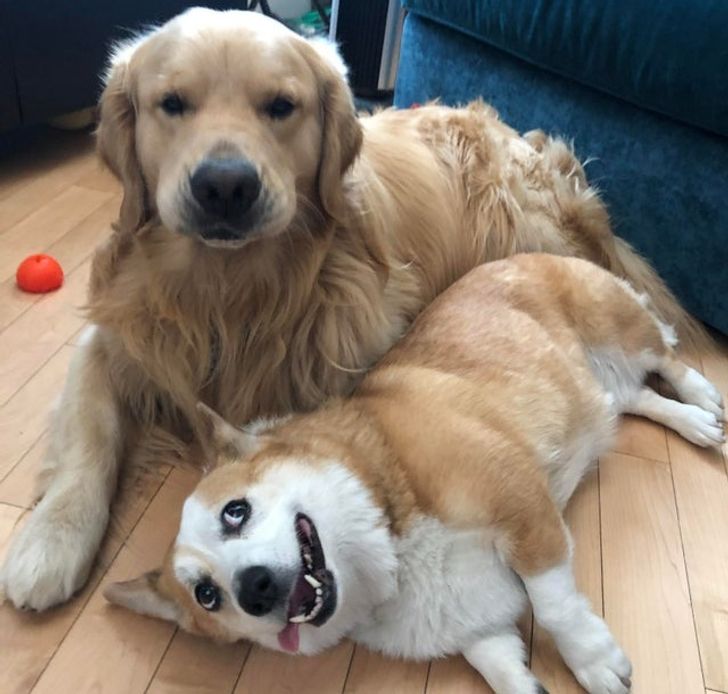 2dc9f6529280fb6fc5fb706f8b