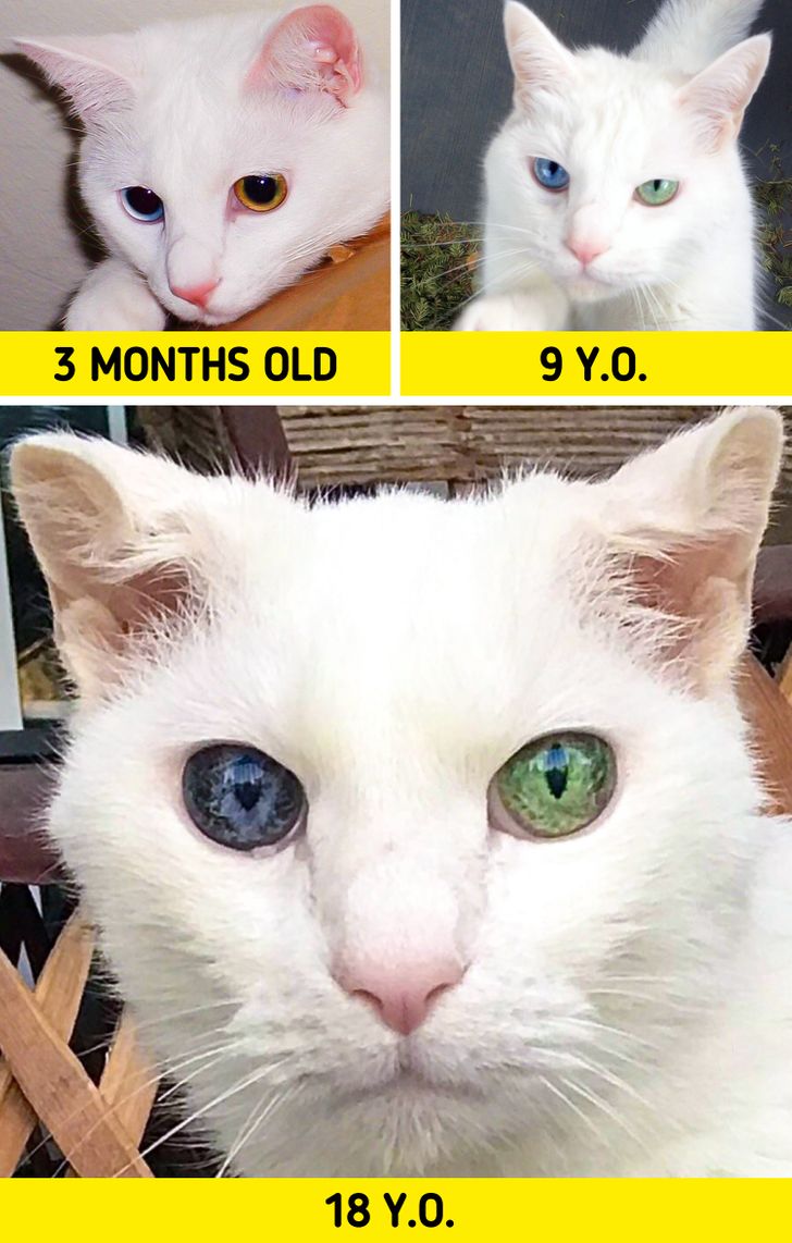 2dccb55e4abb7f8a19fc2fa4d1