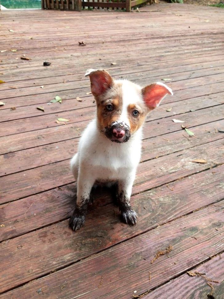 2dd73654b896f9ca3fb36ac215