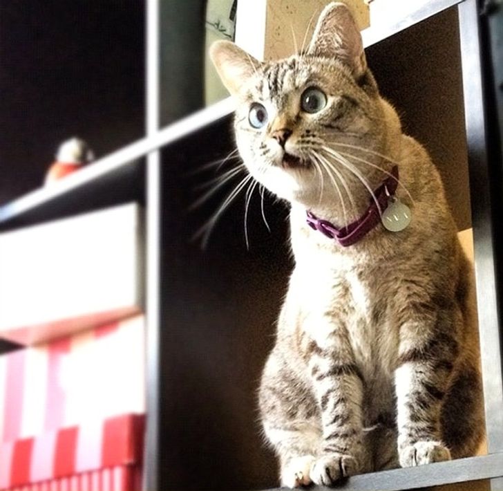 2dde27580bbd9d789707f84e95