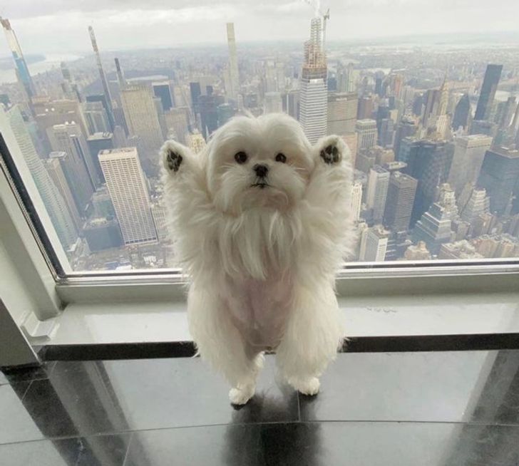 2dde4e5b7584e35b06473df757