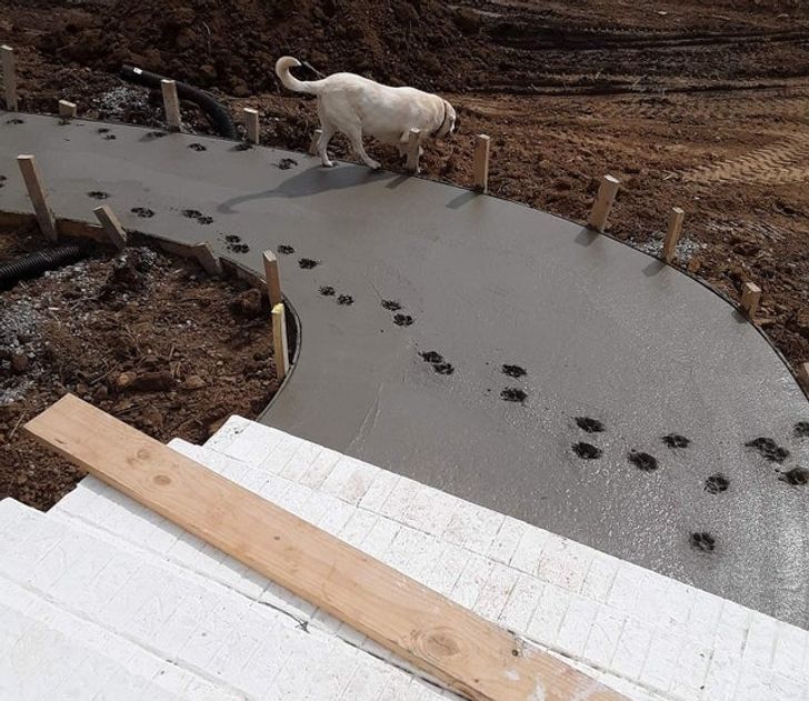 2de084548f9cf35e59afddbda3