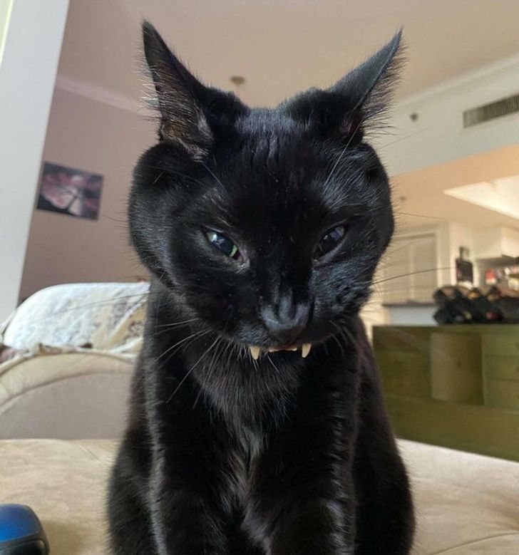 2e08d05ba980388f96ce5584b9