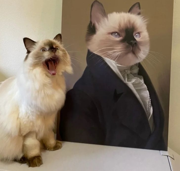 2e0c40524e9173740d56238469