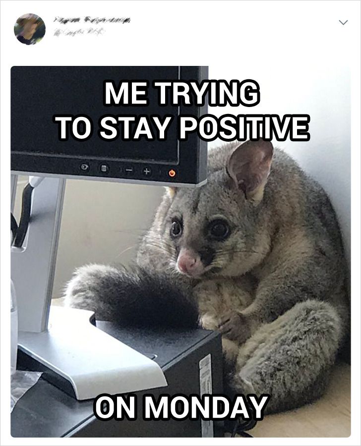 2e0ded5b0e937e198712281e1c