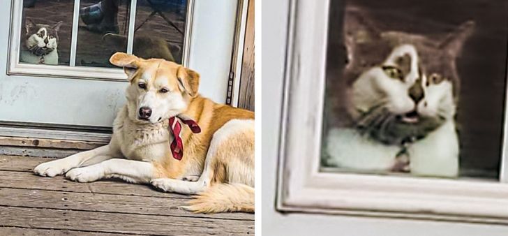 2e1df05984ab0f80b09c313203