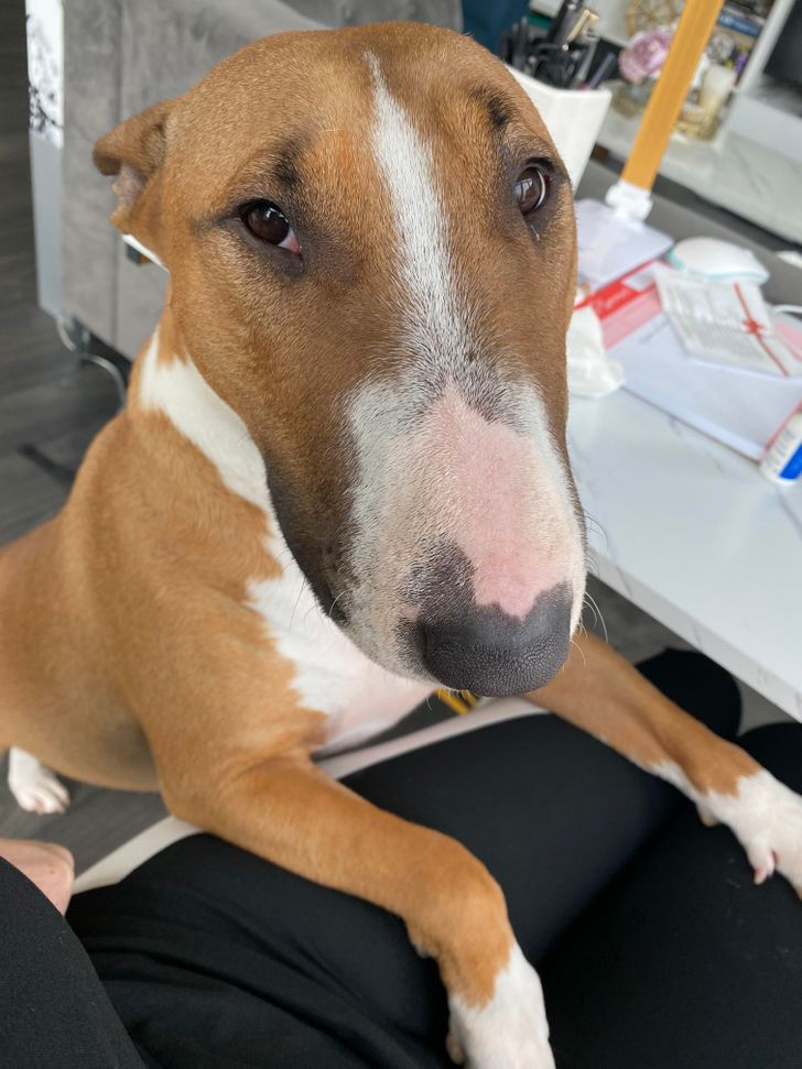 2e1e2a5ac3b9de038b98eeee62