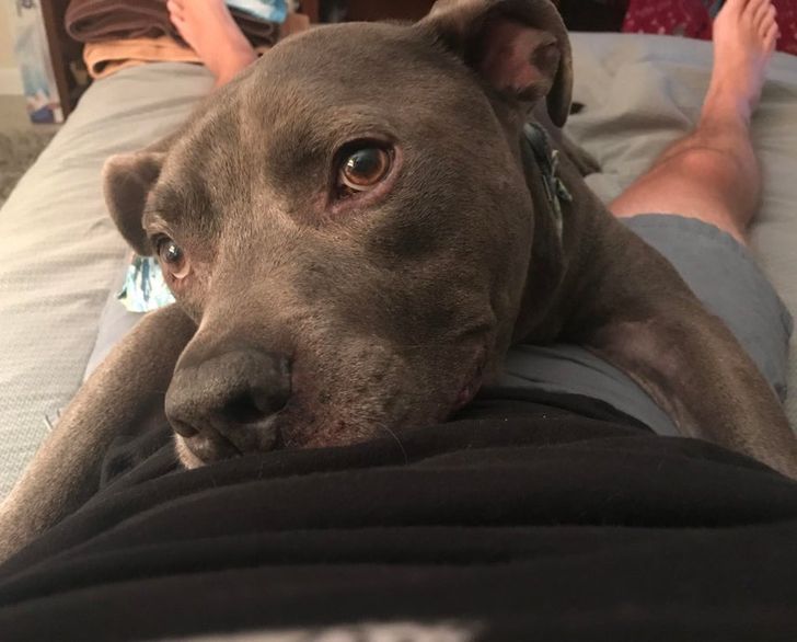 2e314c5a33b15f4376bbed611a