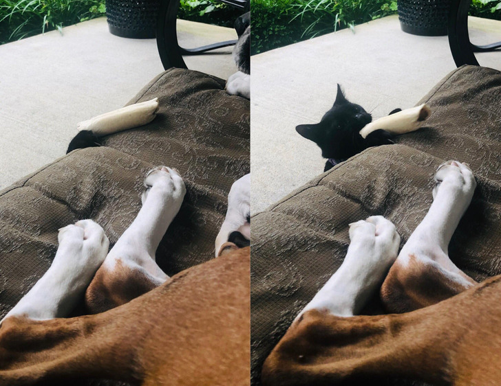 2e35bf51a6921f3ca355e7dfff