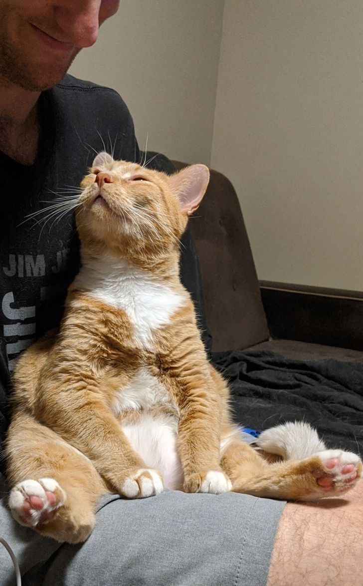 2e3aea5820b63a19d13448f9b0