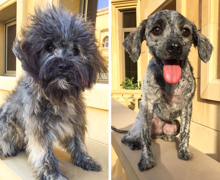 2e45455a089ca499b82a17aca7