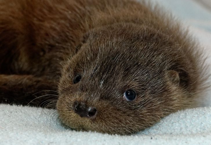 2e46ed5591ab2c56e29a0832e1