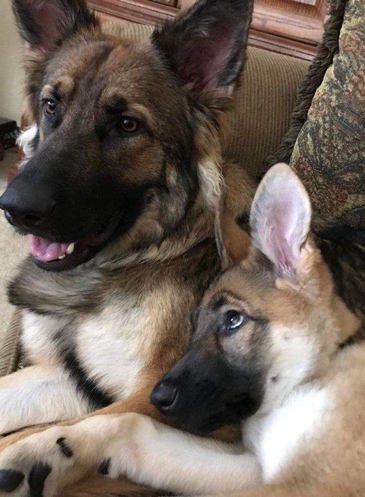 2e4f635cd3bb30400eab63a6c2