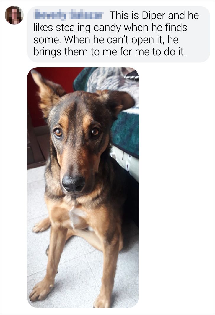 2e51665f9d9a0fd8a320a6fd49