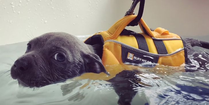 2e54f751bdbb5c53dc3a189f1e 2e54f751bdbb5c53dc3a189f1e