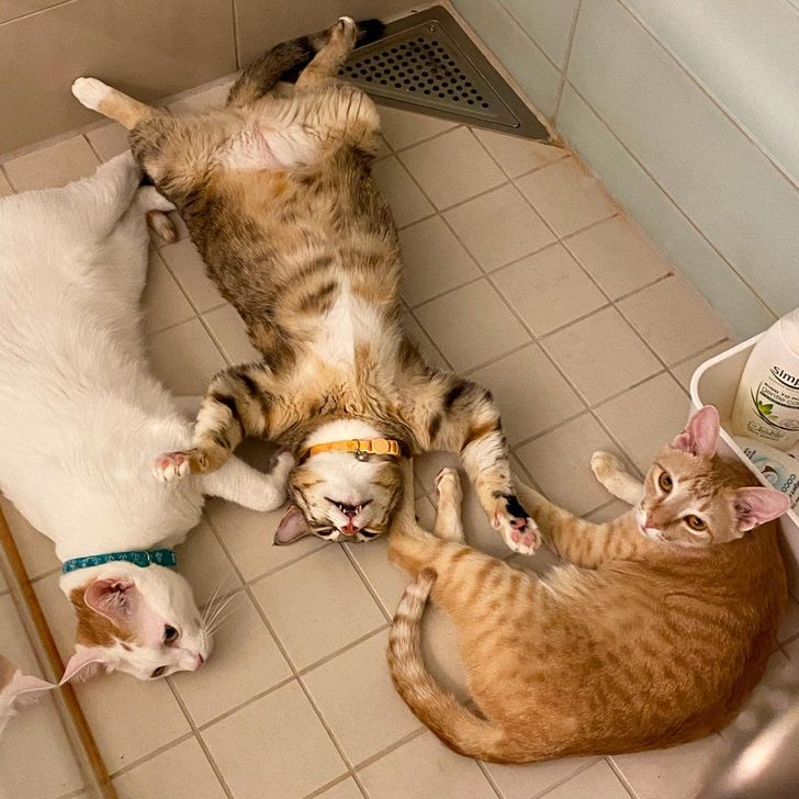 2e5bfe5644964ed00014bfbf43